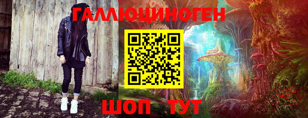 Галлюциногенные грибы Psilocybe Баксан